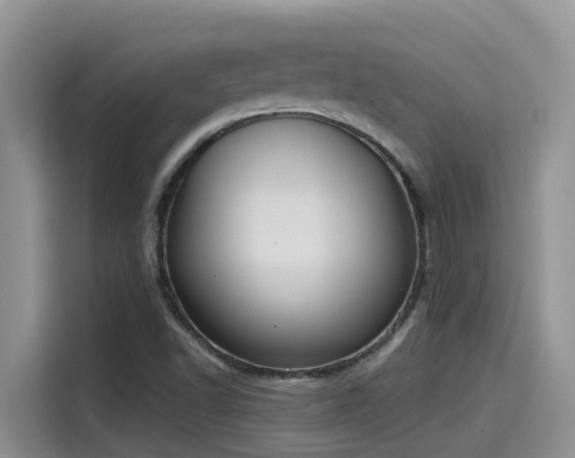 X0000115631502200911171325