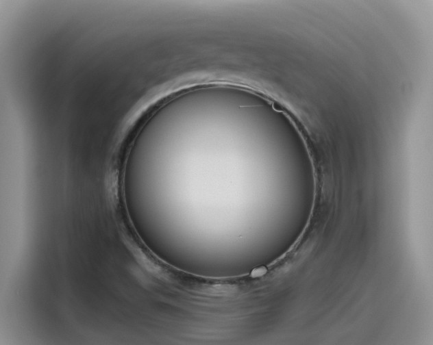 X0000115631503200911171325