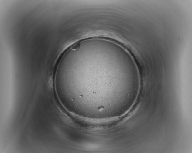 X0000115631505200911171325