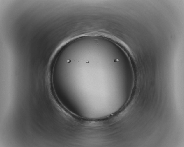 X0000115631506200911171325