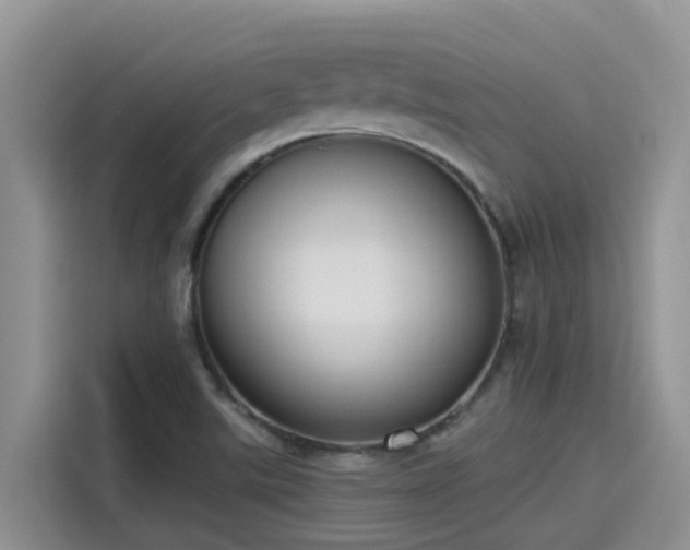 X0000115631507200911171325