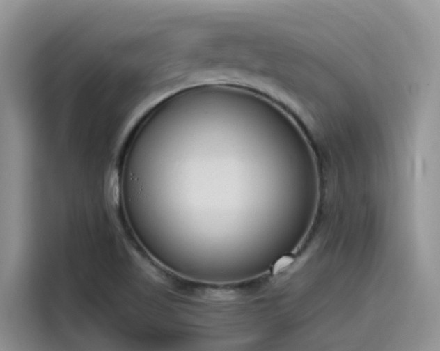 X0000115631509200911171325