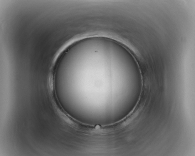X0000115631510200911171325