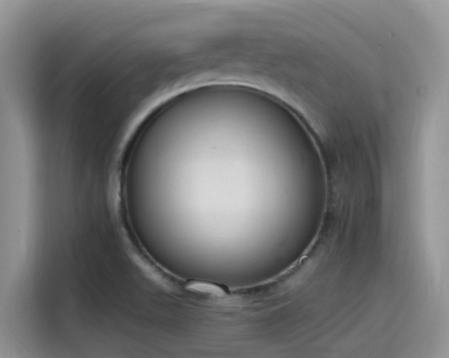 X0000115631511200911171325