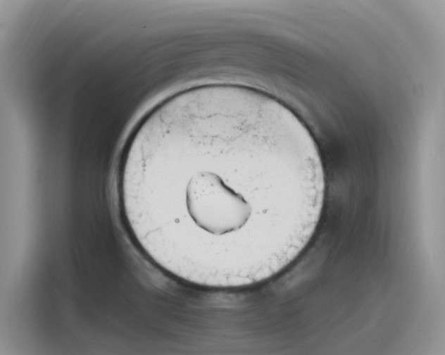 X0000115631514200911171325