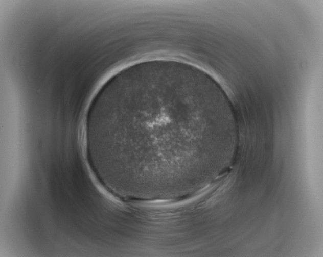 X0000115631515200911171325