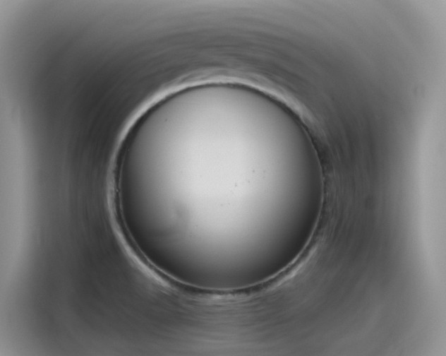 X0000115631518200911171325