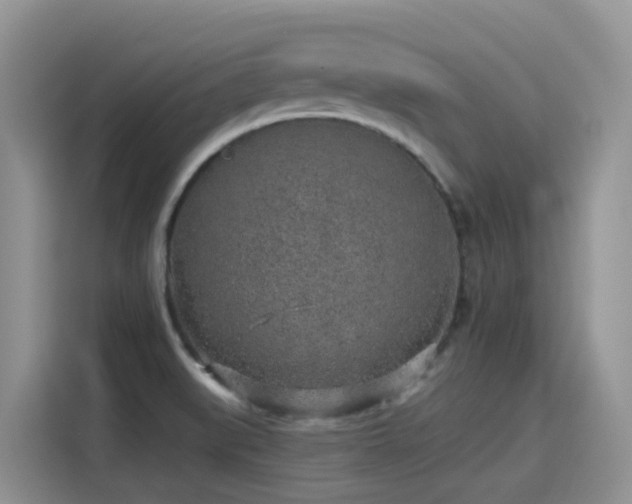 X0000115631519200911171325
