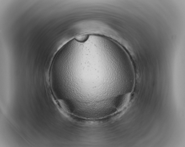 X0000115631521200911171325