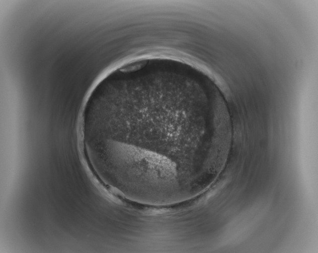 X0000115631522200911171325