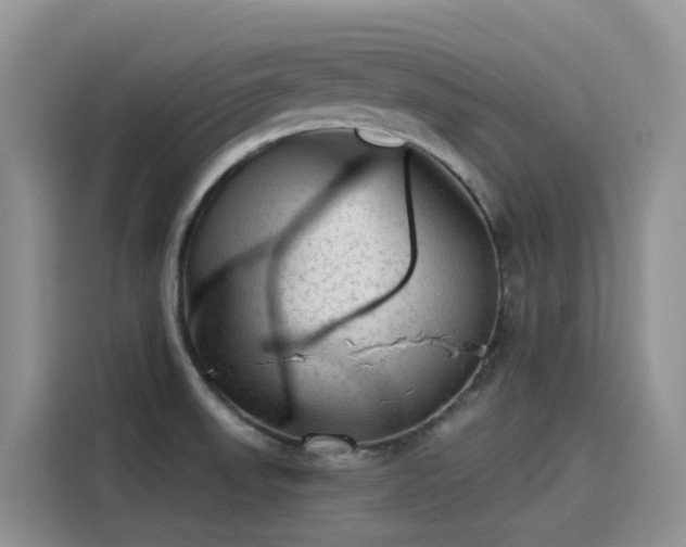 X0000115631523200911171326