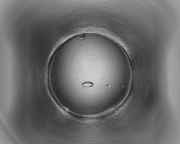 X0000115631525200911171326