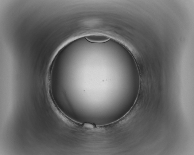 X0000115631526200911171326