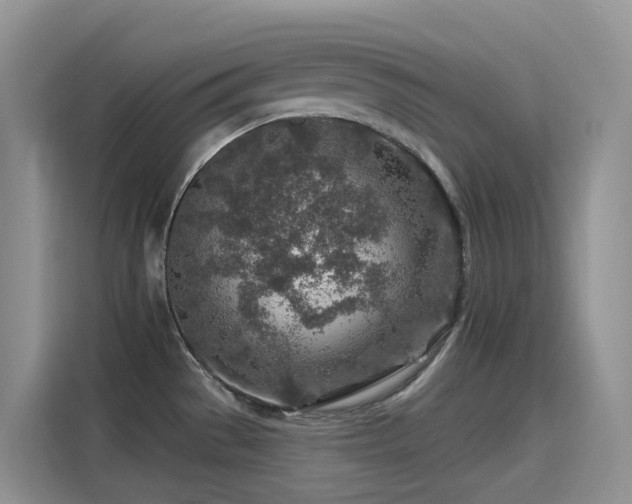 X0000115631529200911171326