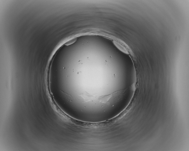 X0000115631530200911171326