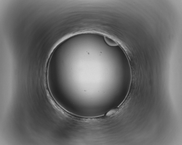 X0000115631534200911171326