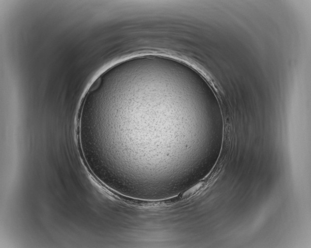 X0000115631535200911171326