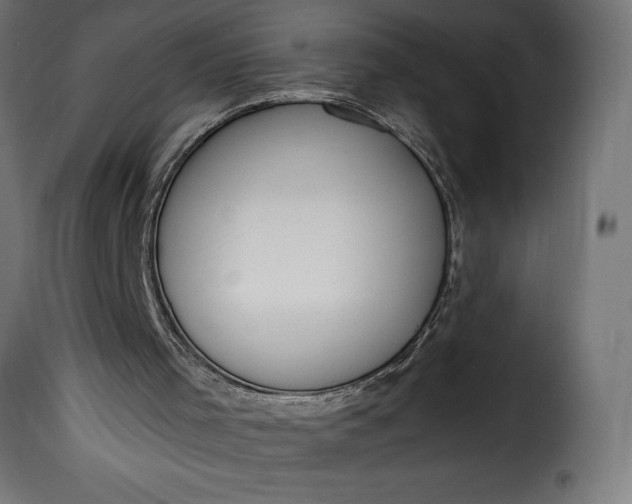 X0000115630001200911241658