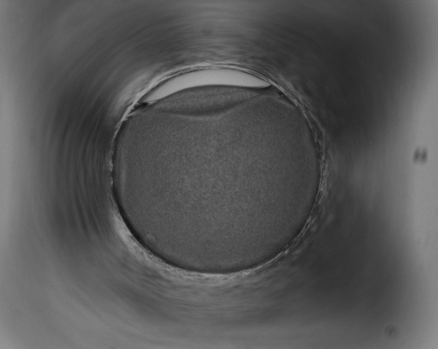 X0000115630002200911241657