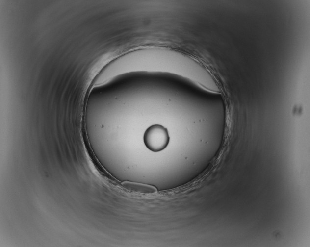 X0000115630003200911241657