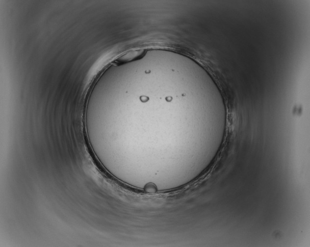 X0000115630004200911241657