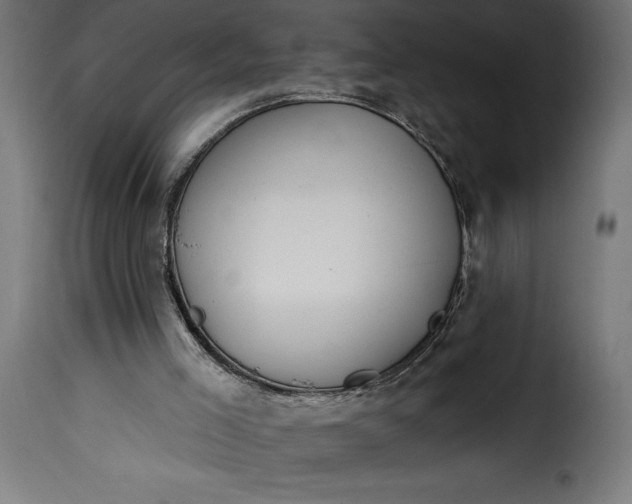 X0000115630005200911241657