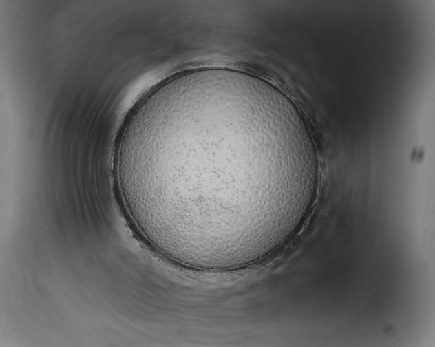 X0000115630006200911241657