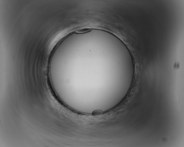 X0000115630007200911241657