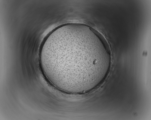 X0000115630008200911241657