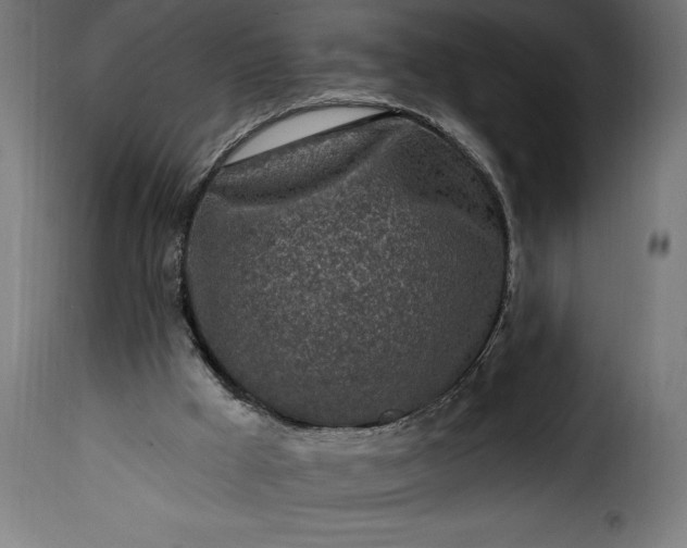 X0000115630009200911241657