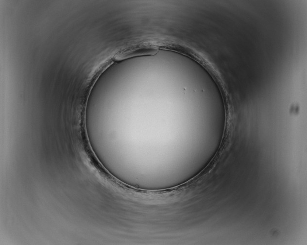 X0000115630010200911241657