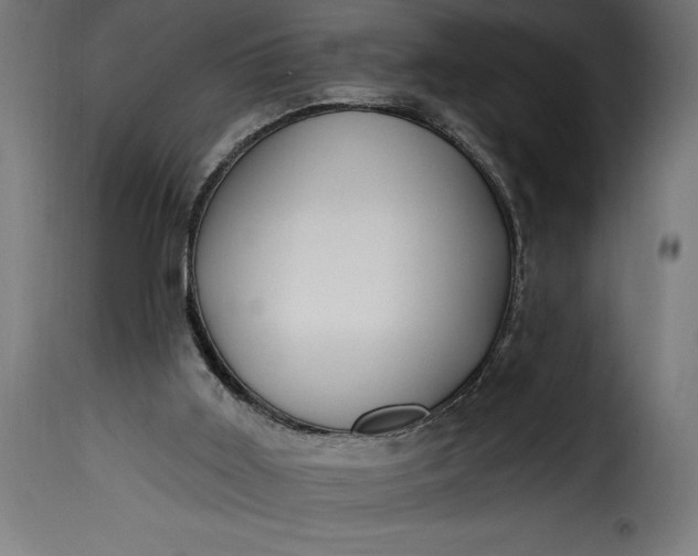 X0000115630011200911241657