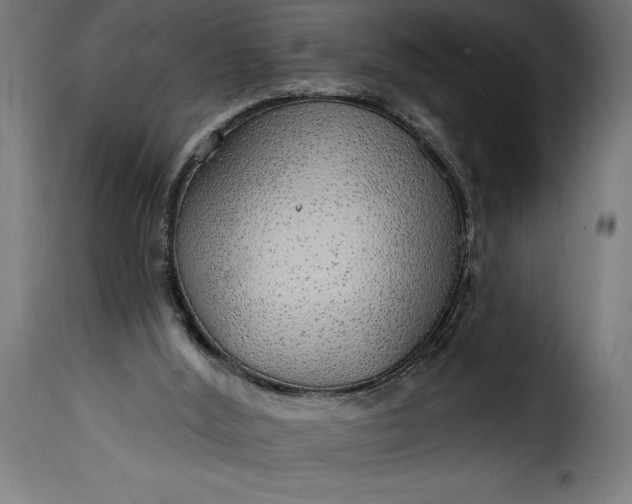 X0000115630012200911241657