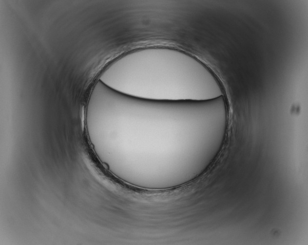 X0000115630013200911241657