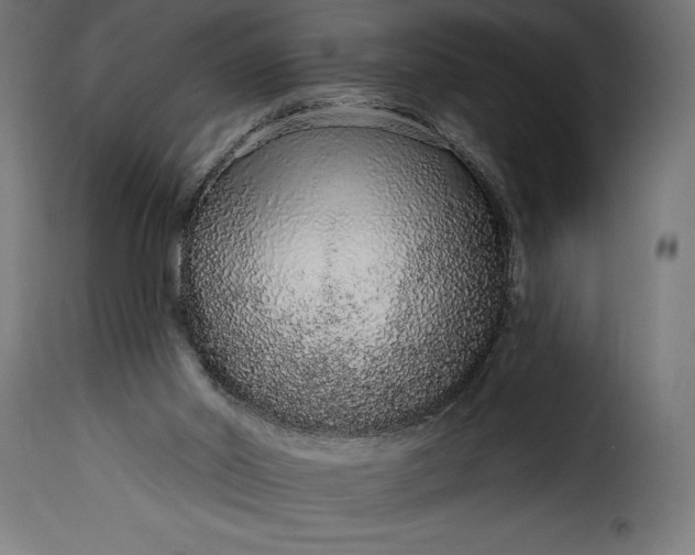 X0000115630014200911241657