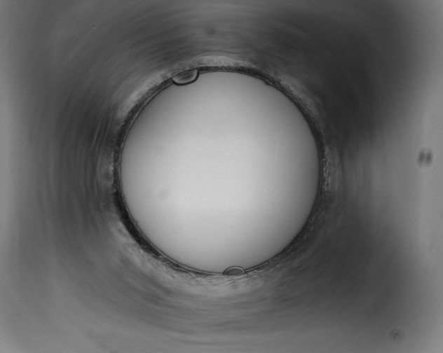 X0000115630015200911241657