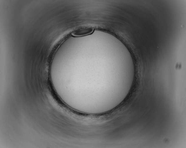 X0000115630016200911241657