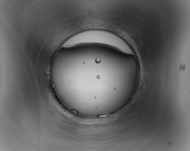 X0000115630017200911241657