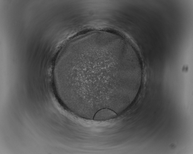 X0000115630018200911241657