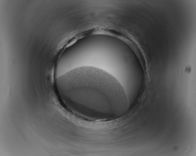 X0000115630019200911241657