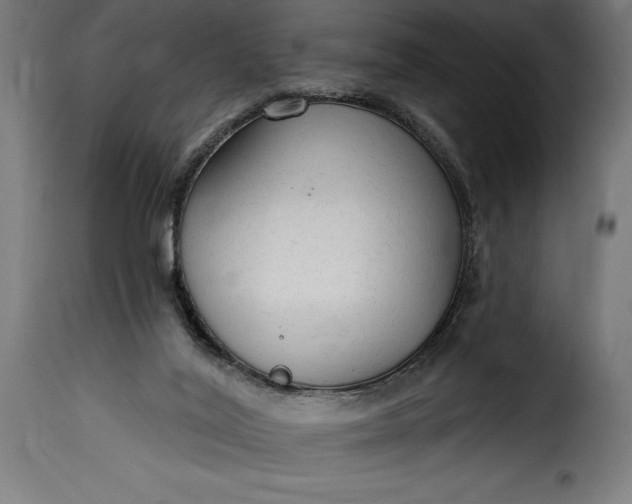 X0000115630020200911241657