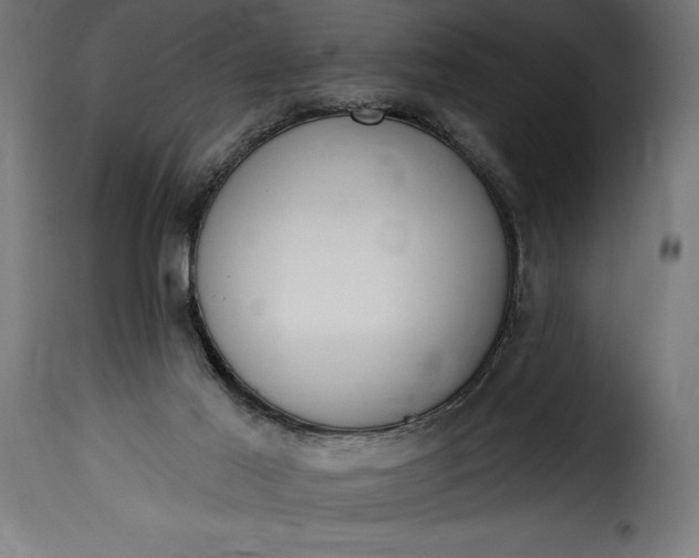 X0000115630021200911241657