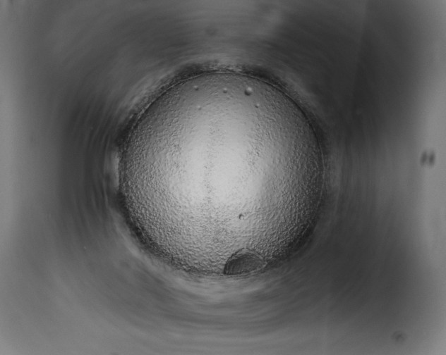 X0000115630022200911241657