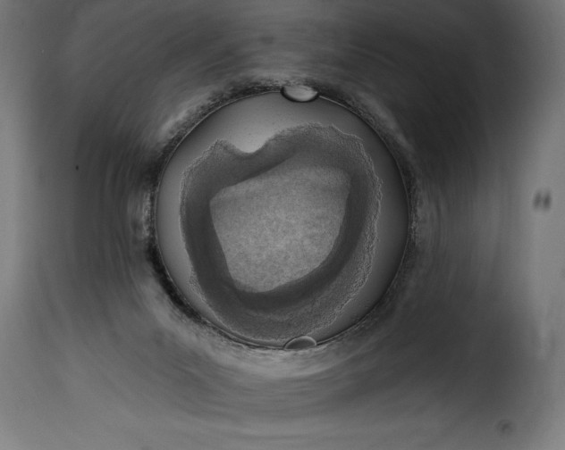 X0000115630023200911241657