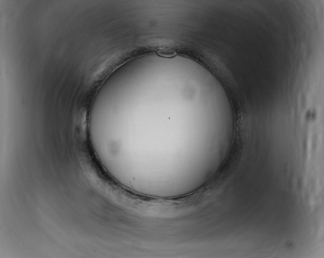 X0000115630024200911241657