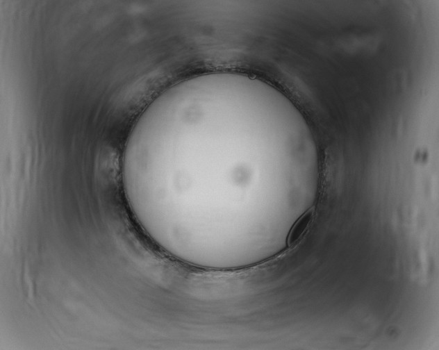 X0000115630025200911241657