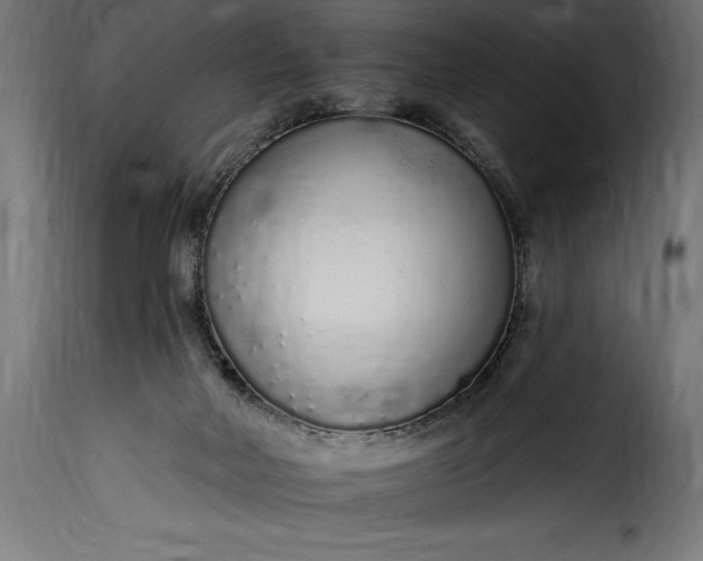 X0000115630026200911241657