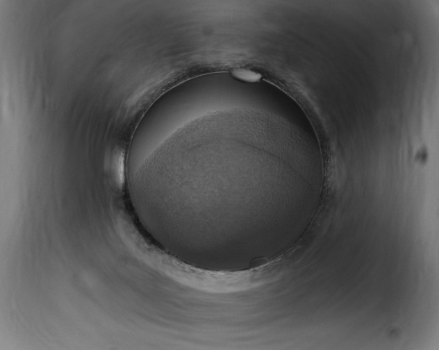 X0000115630027200911241657