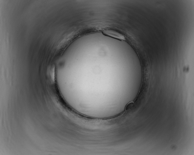 X0000115630028200911241657