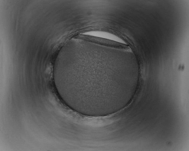 X0000115630029200911241657